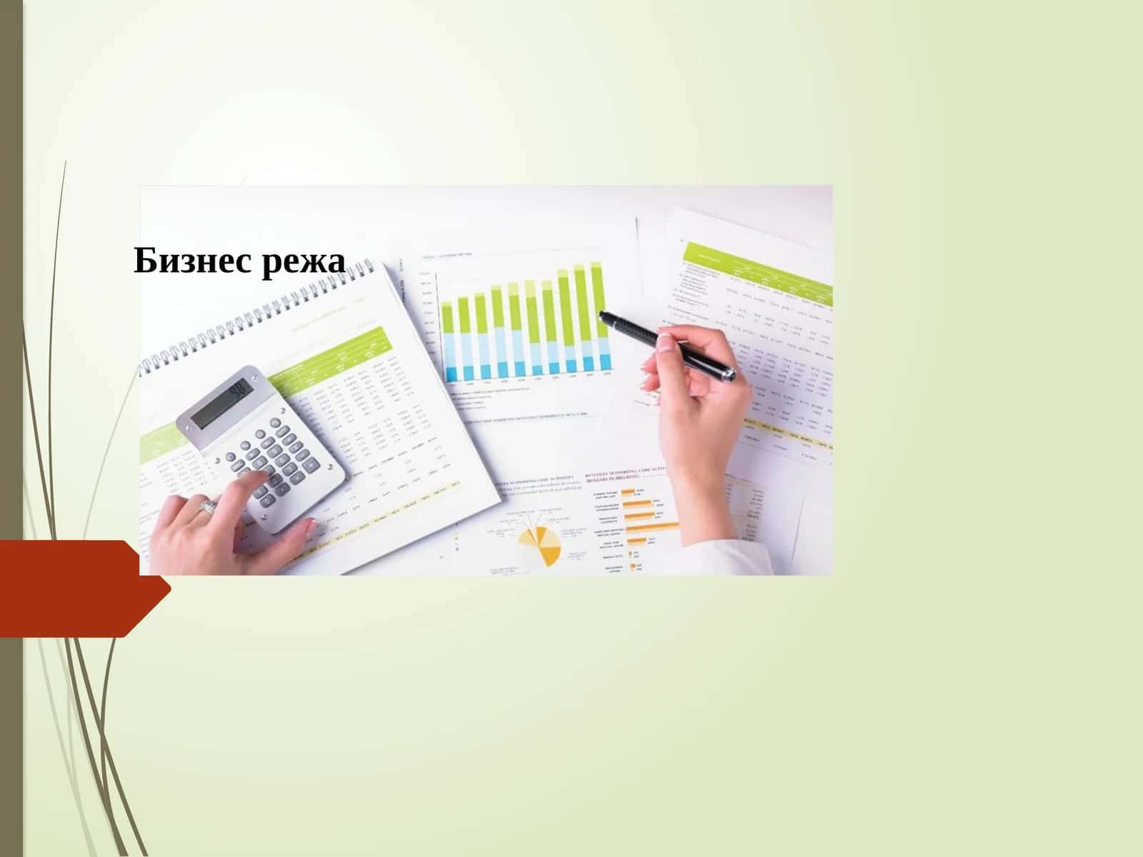 Бизнес-режа 1