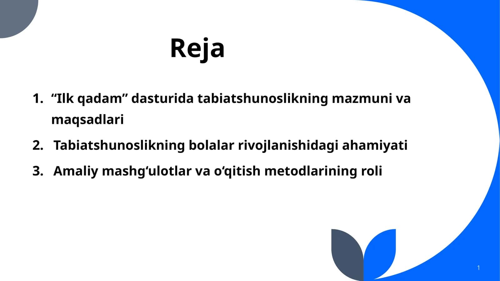 Ilkqadam" dasturi 1