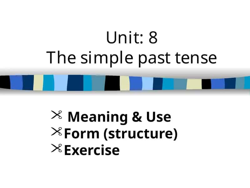 The simple past tense 1