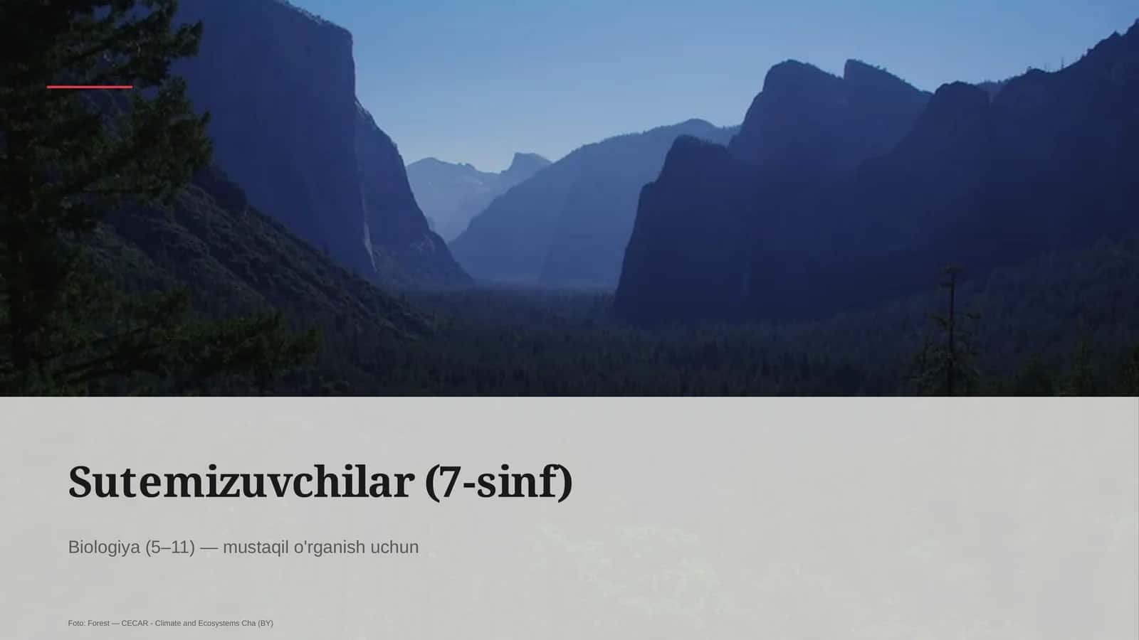 Sutemizuvchilar (7-sinf) 1