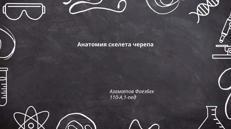 Анатомия скелета черепа 1