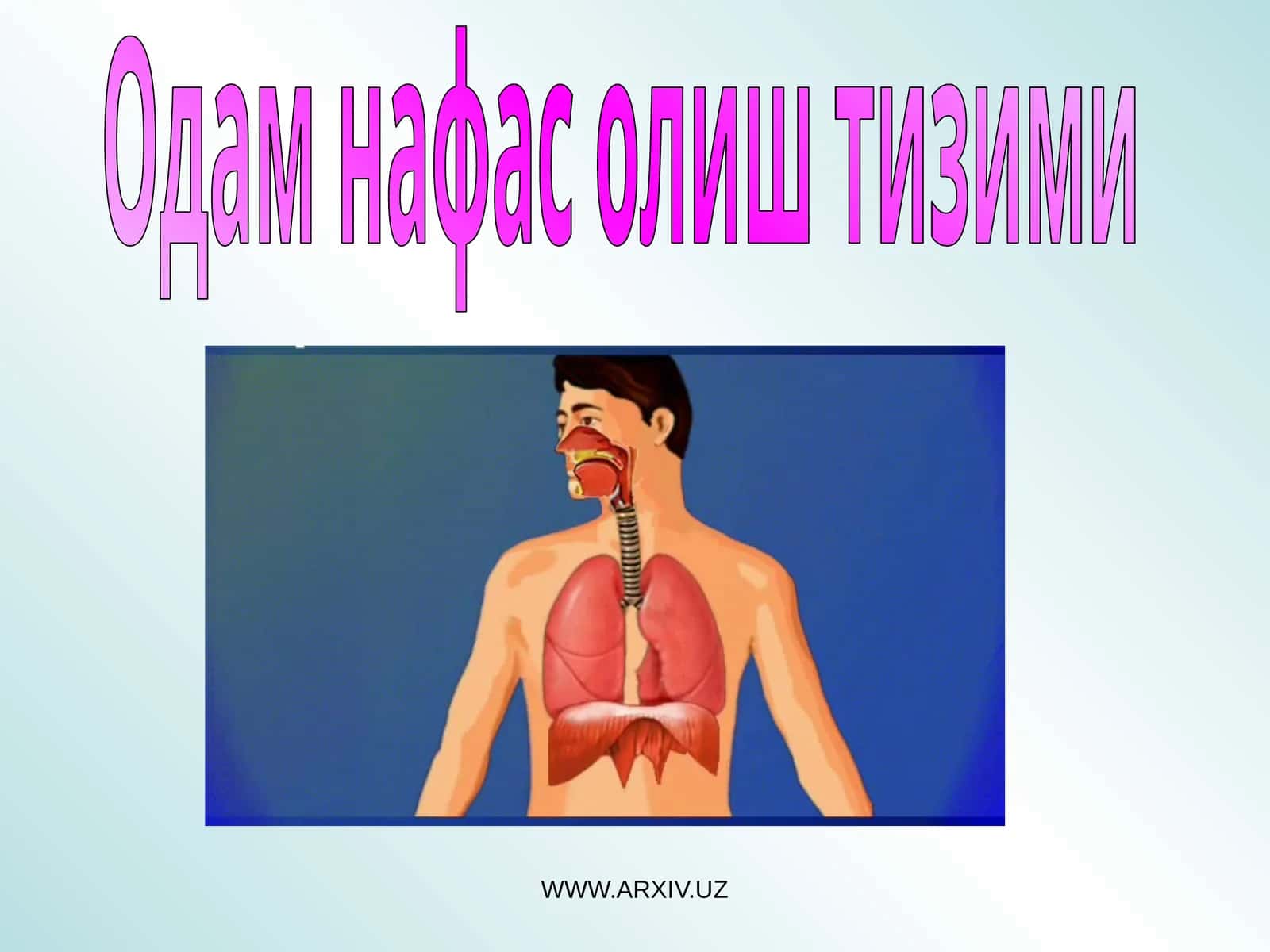 Одам нафас олиш тизими 1