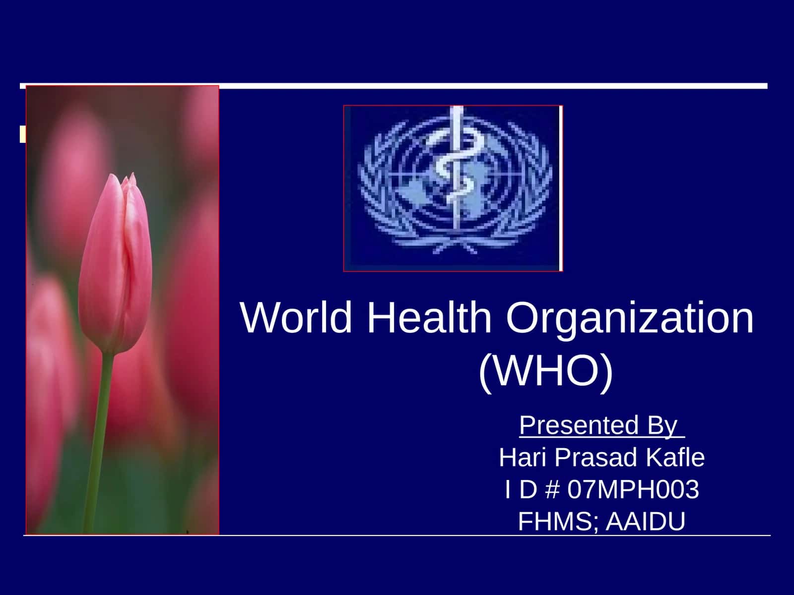 World Health Organization(WHO) 1