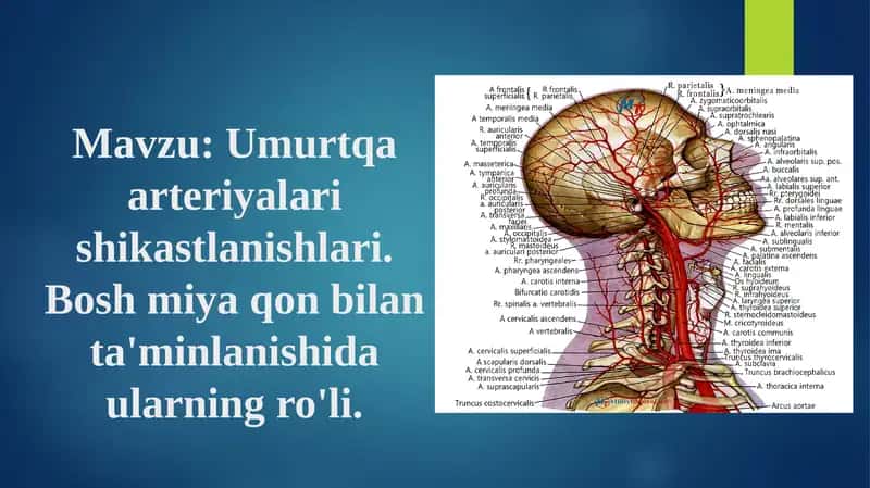 Umurtqa arteriyalari shikastlanishlari 1