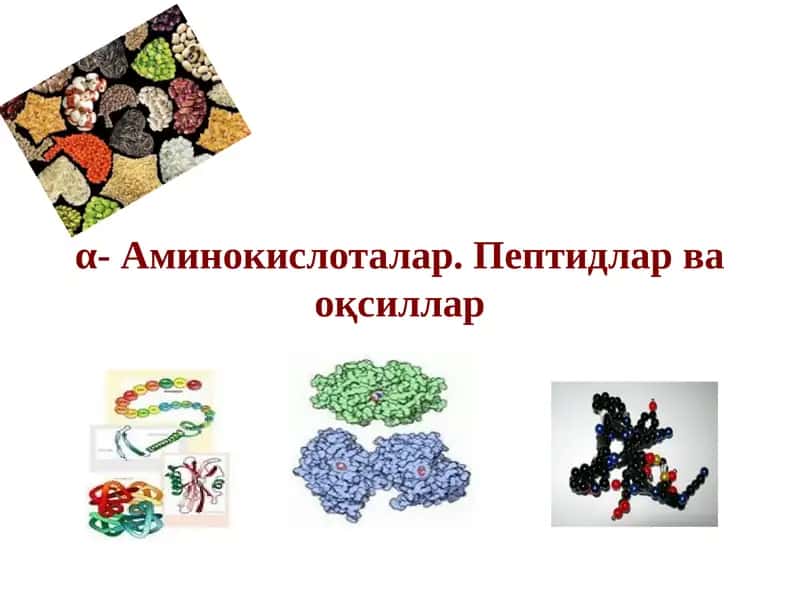 α- Аминокислоталар. Пептидлар ва оқсиллар 1