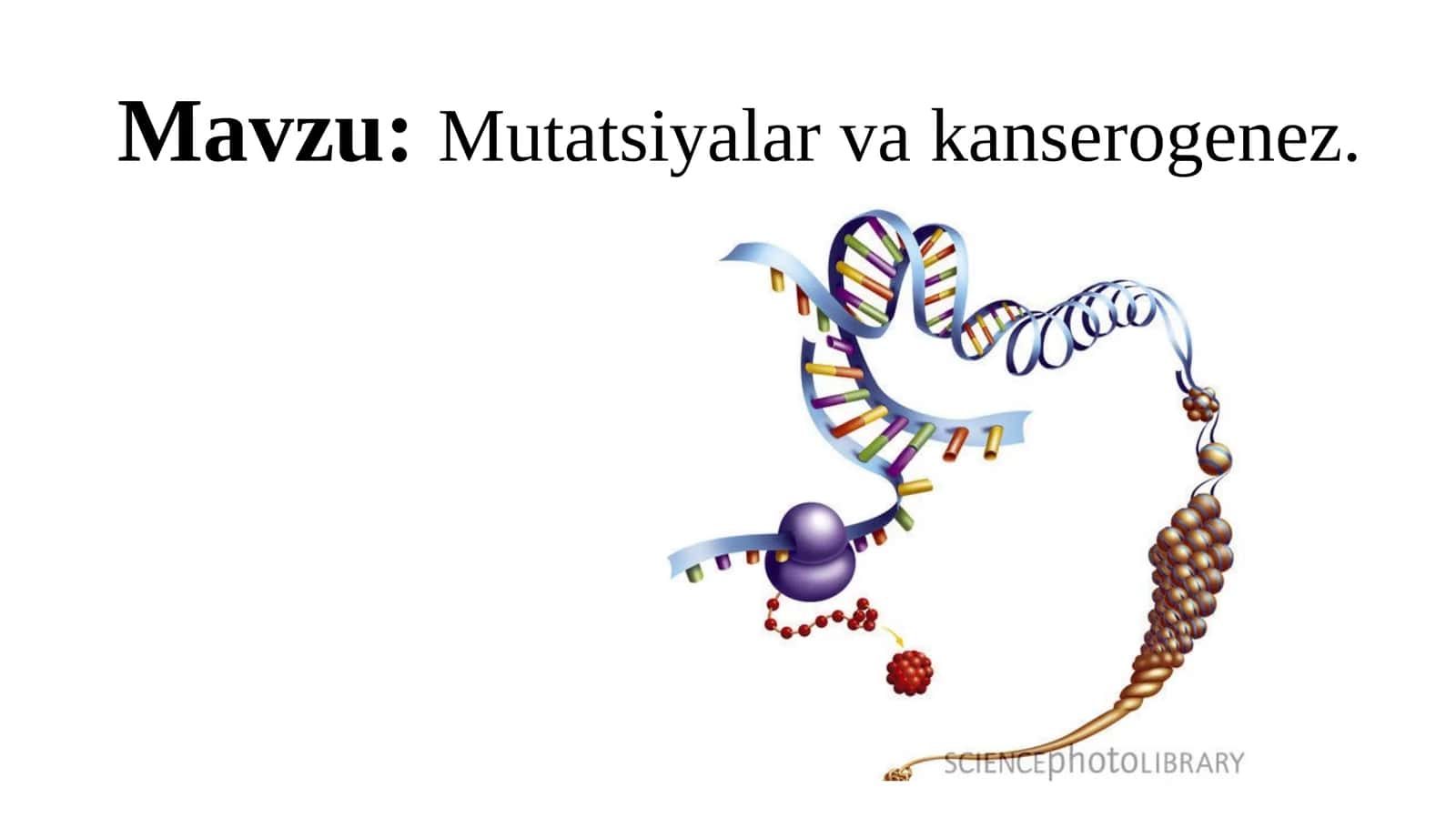 Mutatsiyalar va kanserogenez 1