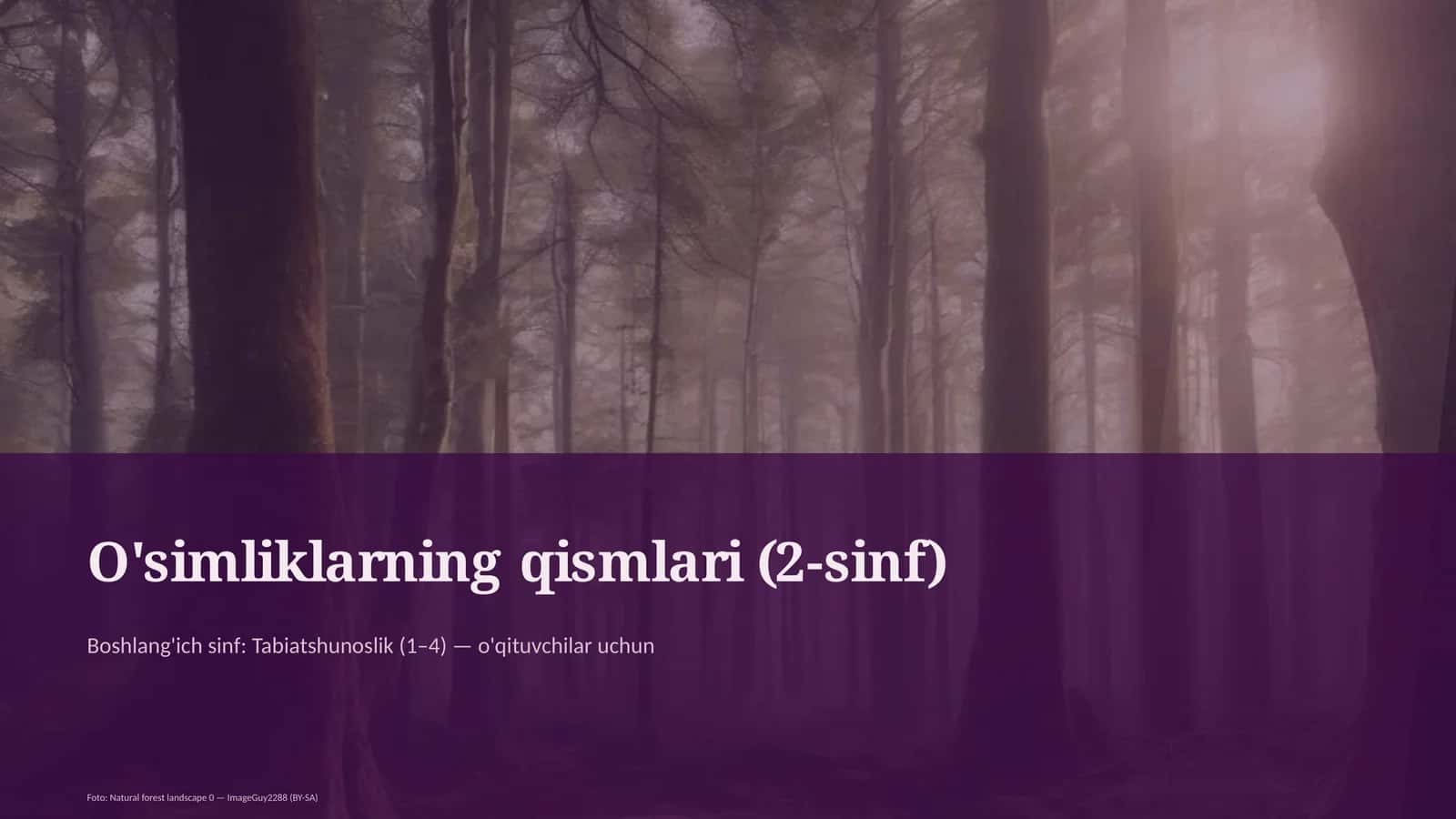 O'simliklarning qismlari (2-sinf) 1