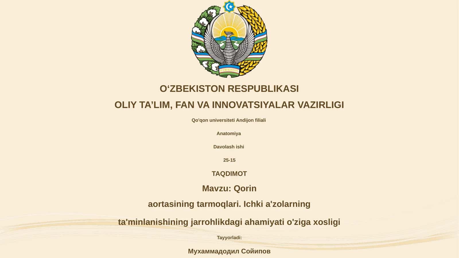 Qorin aortasi 1