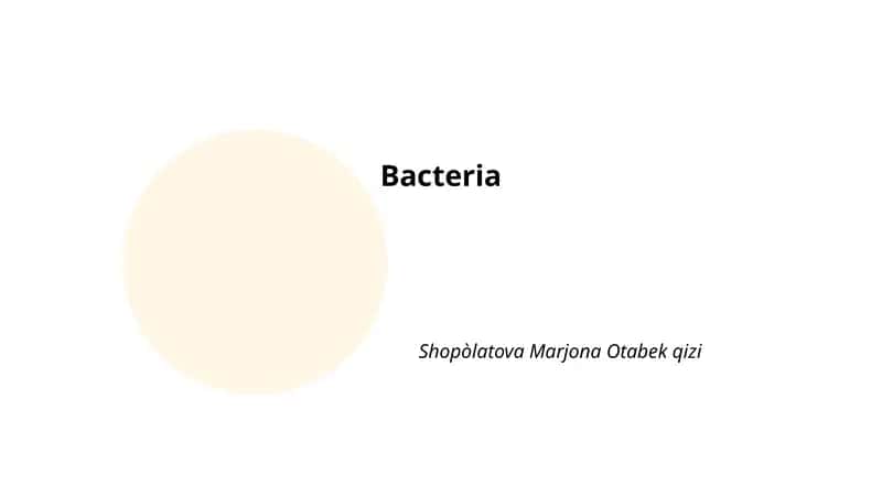 Bacteria 1