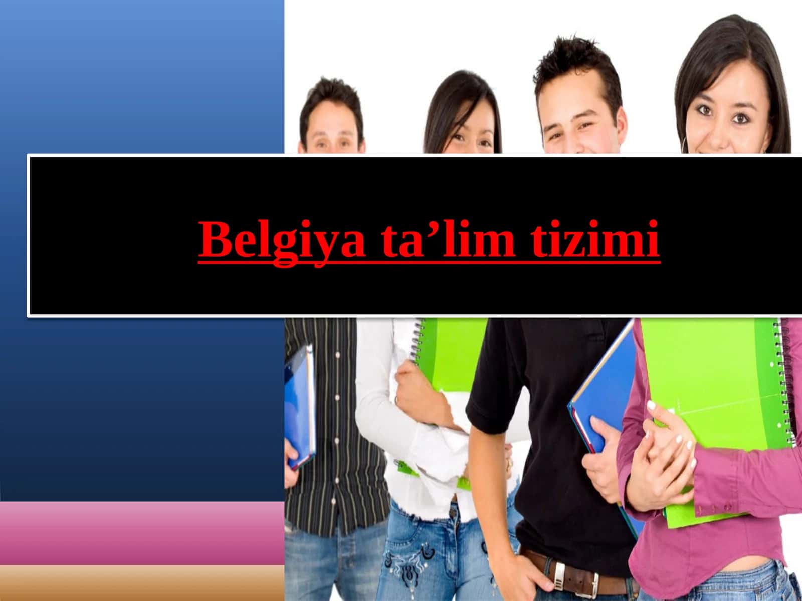 Belgiya taʼlim tizimi 1