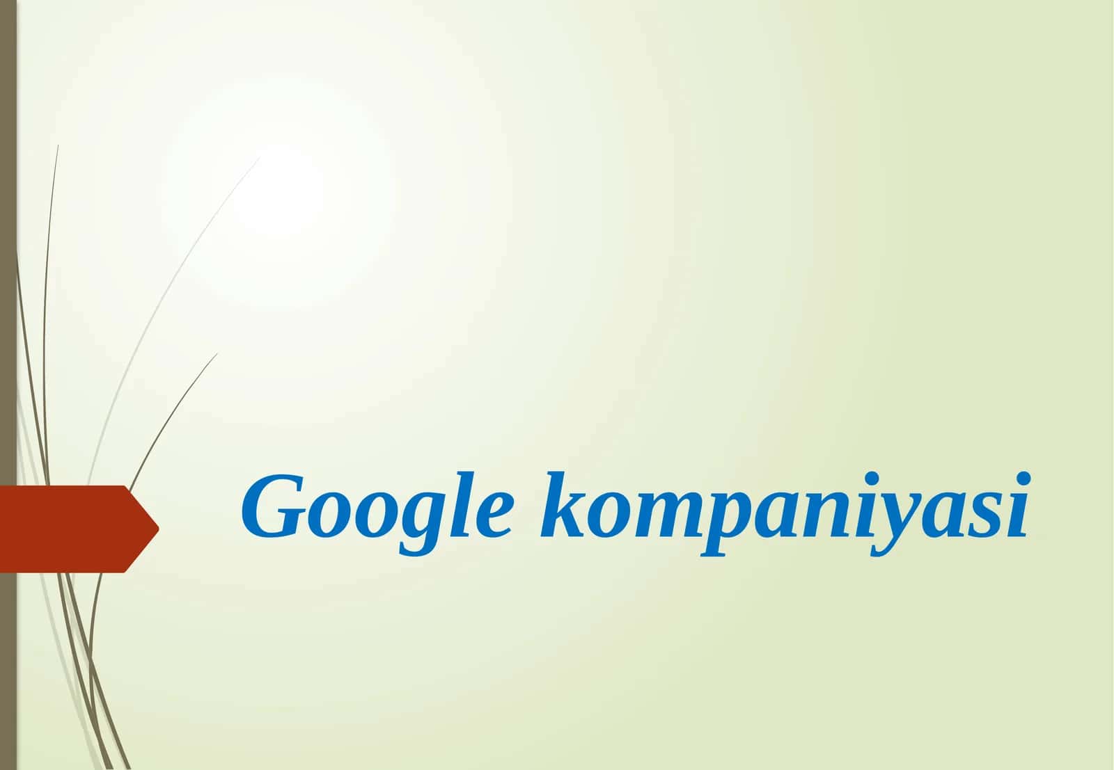 Google kompaniyasi 1