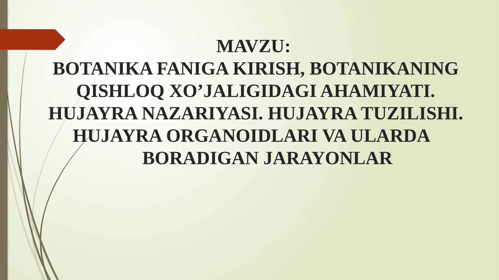 BOTANIKAFANIGA 1