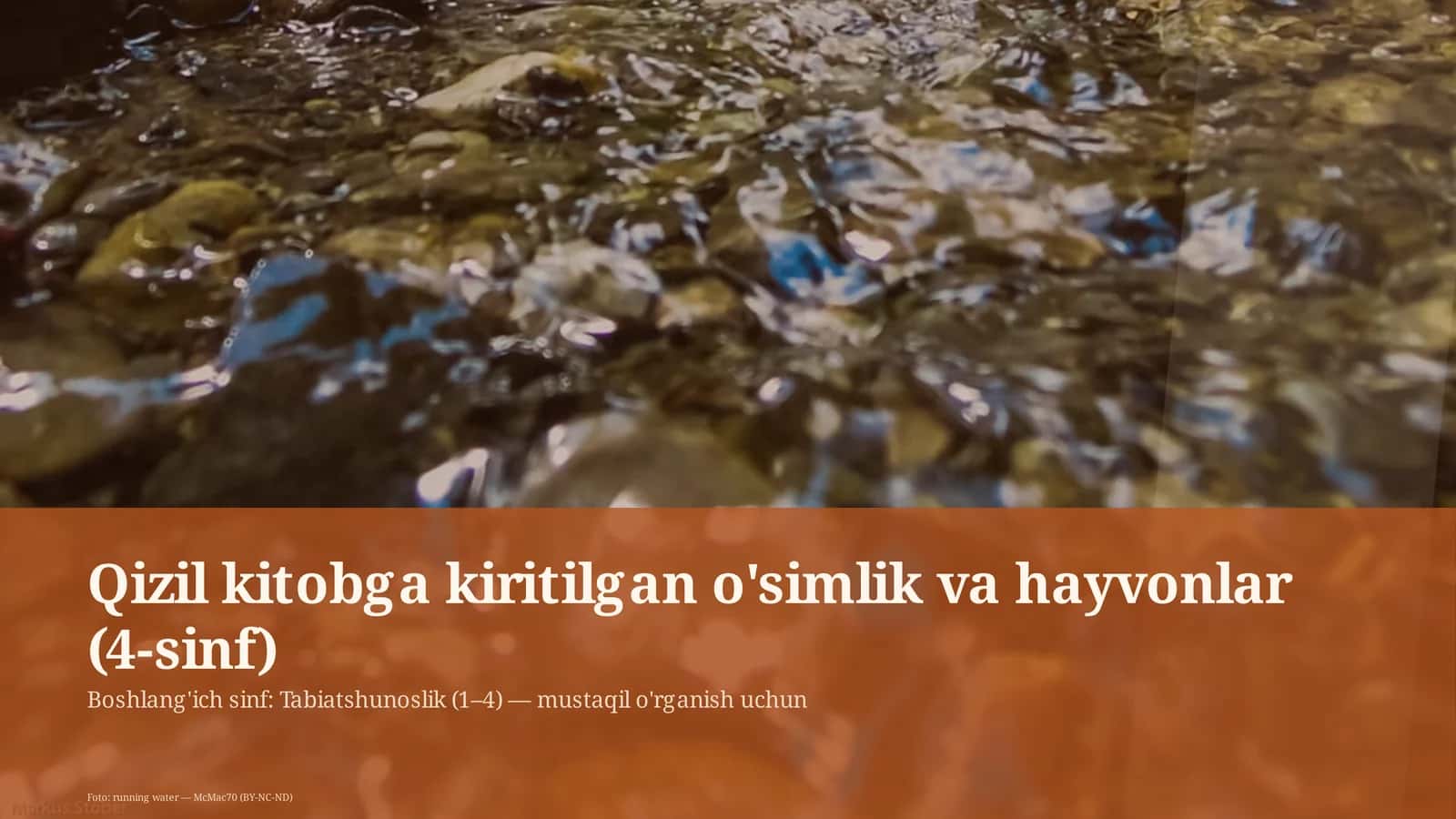 O'simlik va hayvonlar (4-sinf) 1