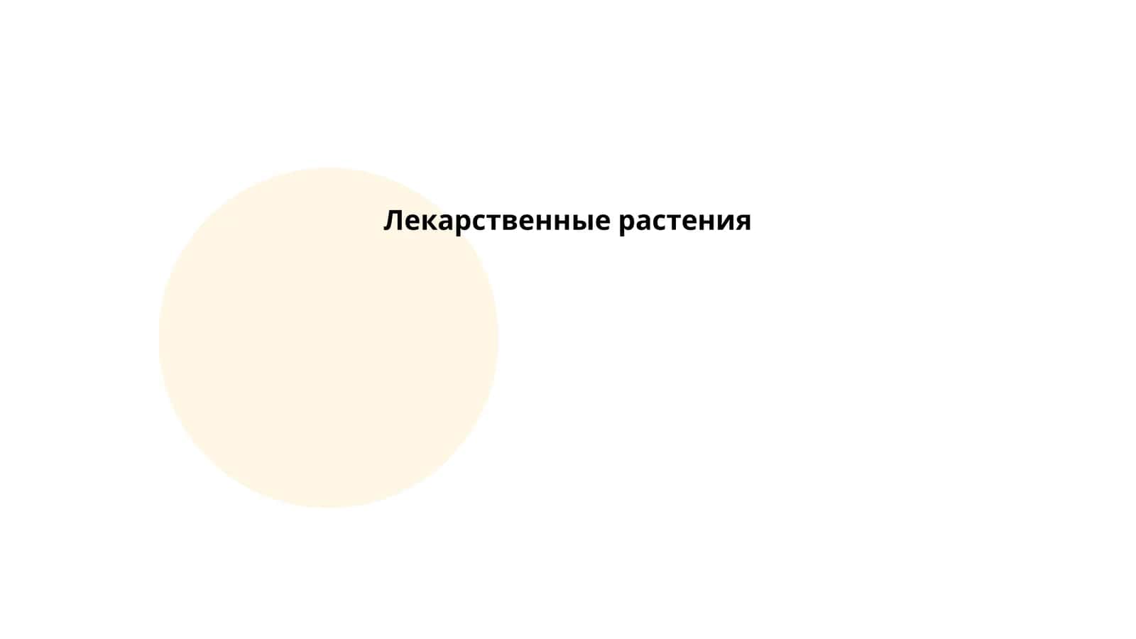 Лекарственные растения 1