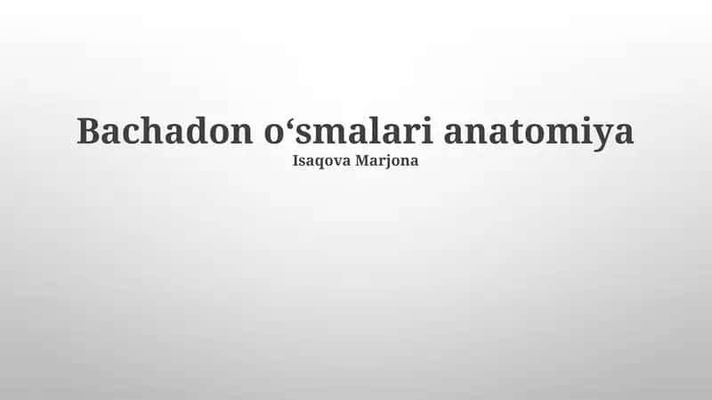 Bachadon oʻsmalari anatomiya 1
