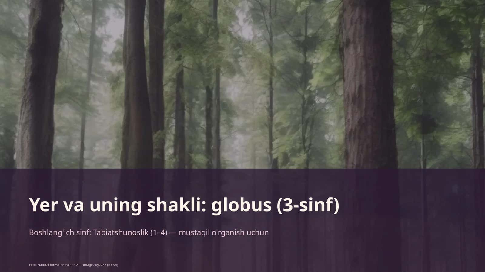 Yer va uning shakli: globus (3-sinf) 1