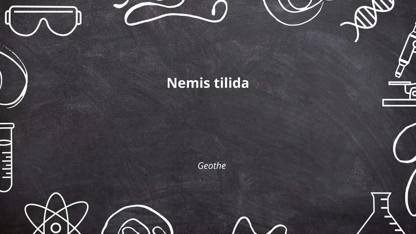 Geothe 1