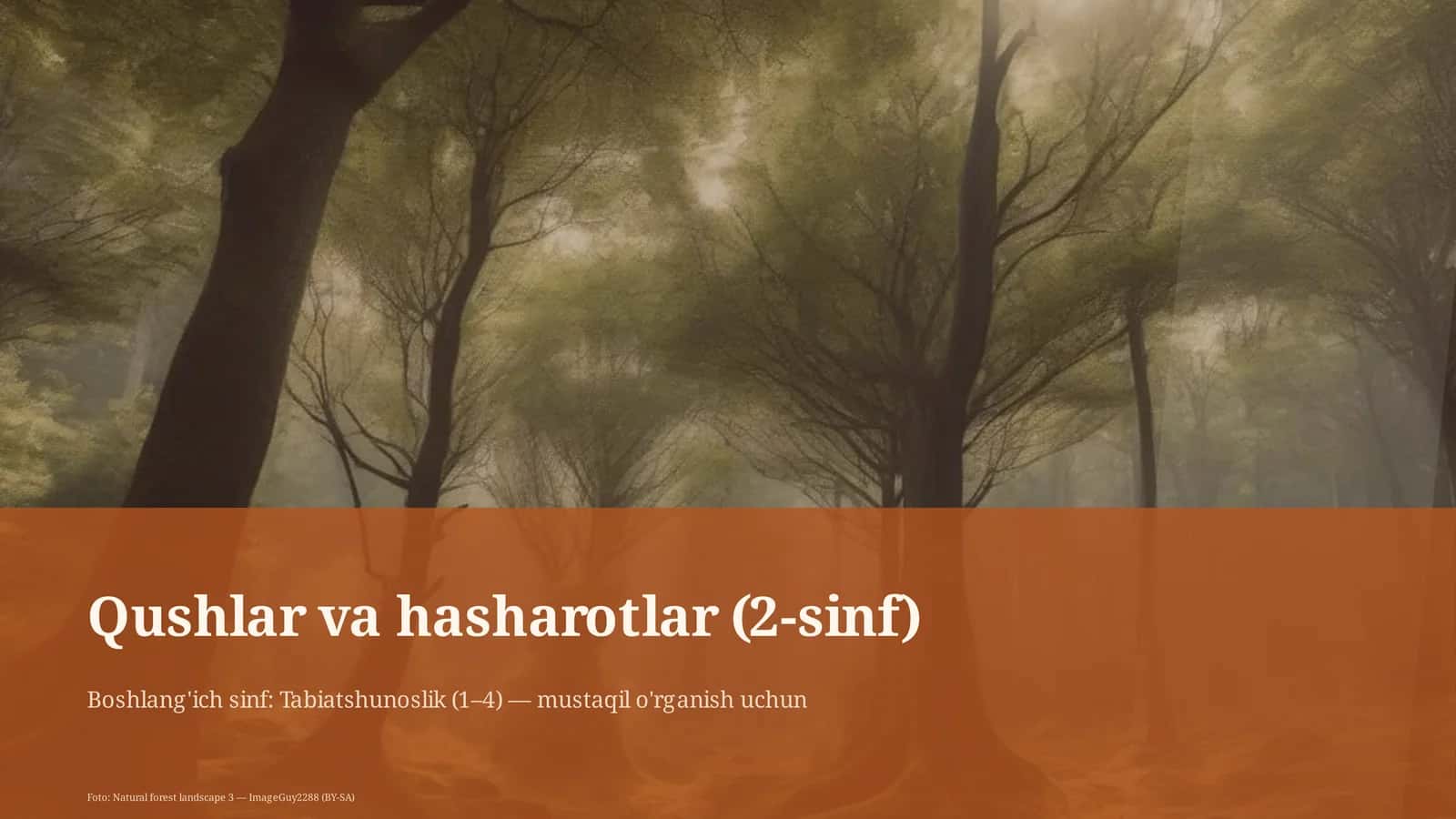 Qushlar va hasharotlar (2-sinf) 1