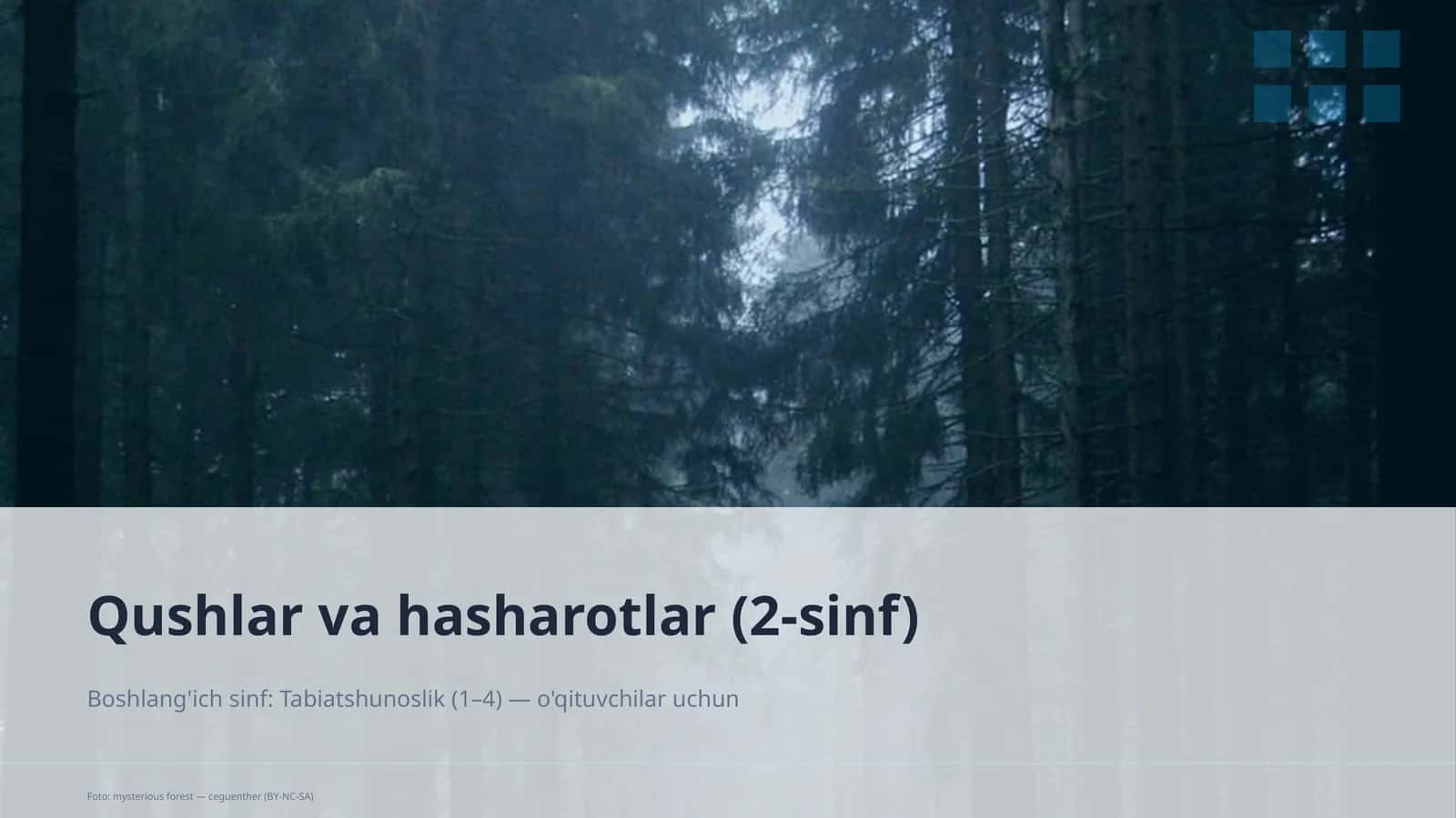 Qushlar va hasharotlar (2-sinf) 1