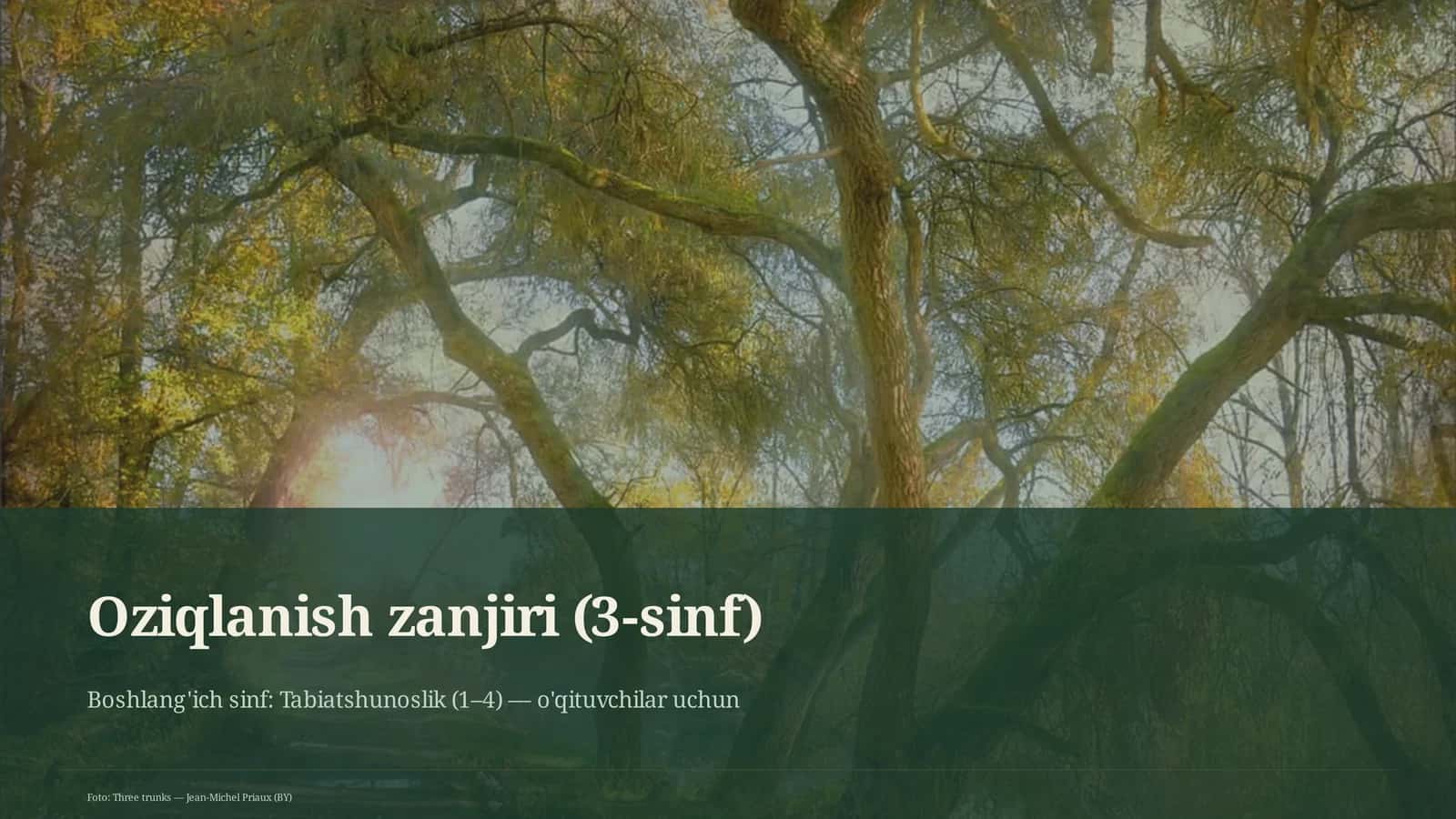 Oziqlanish zanjiri (3-sinf) 1