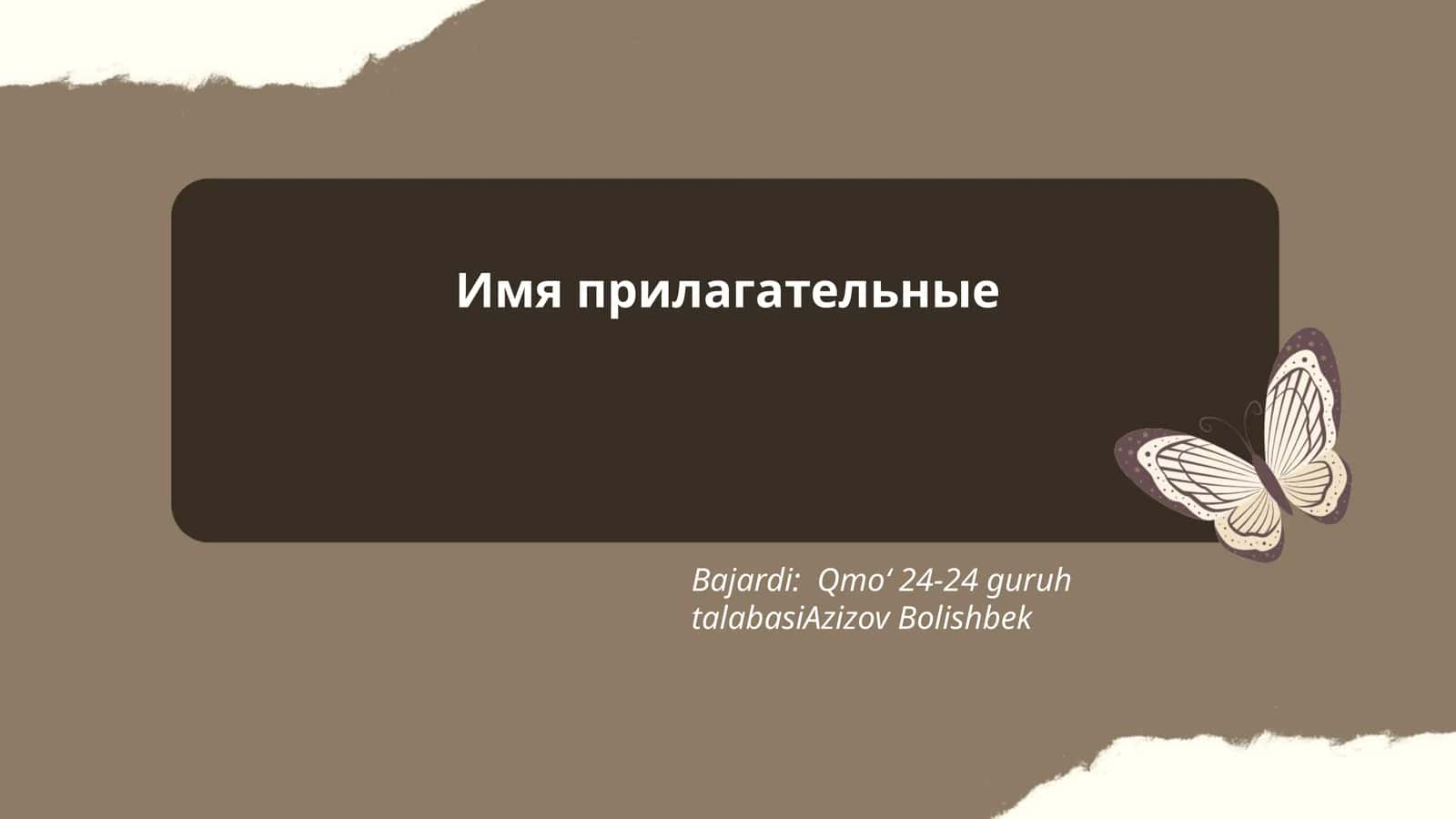Имя прилагательные 1