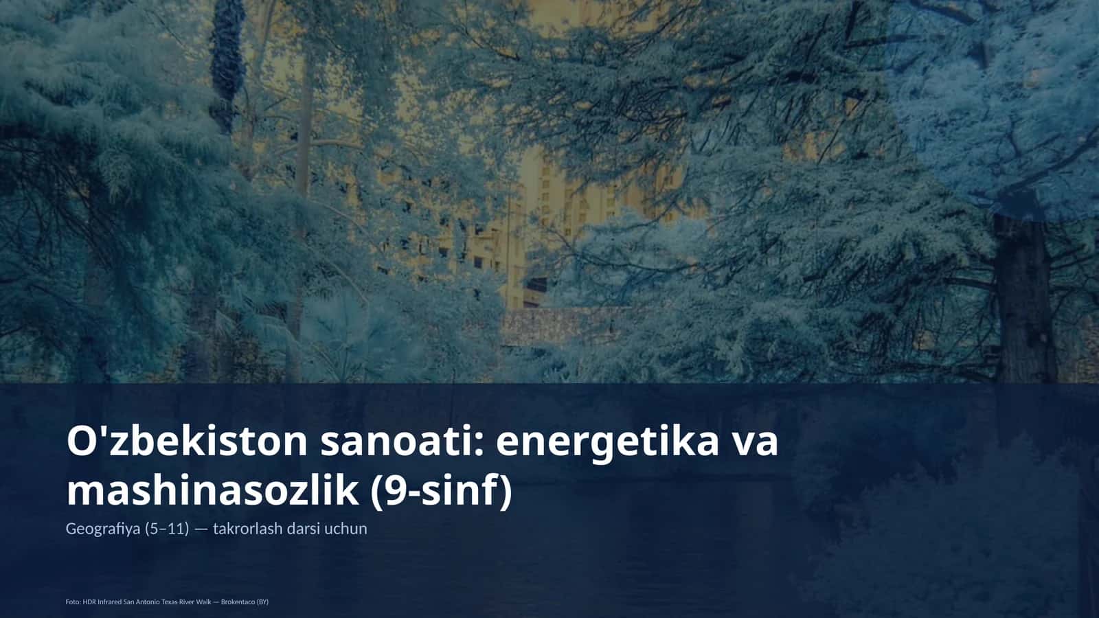 O'zbekiston sanoati: energetika va mashinasozlik (9-sinf) 1