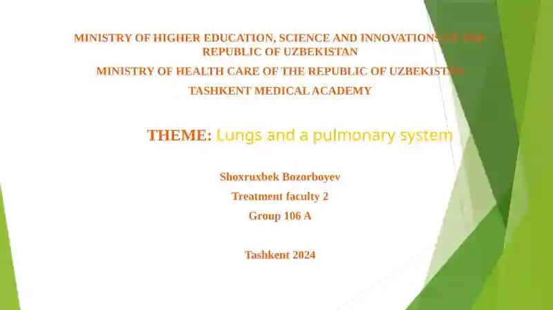Lungs and a pulmonary system