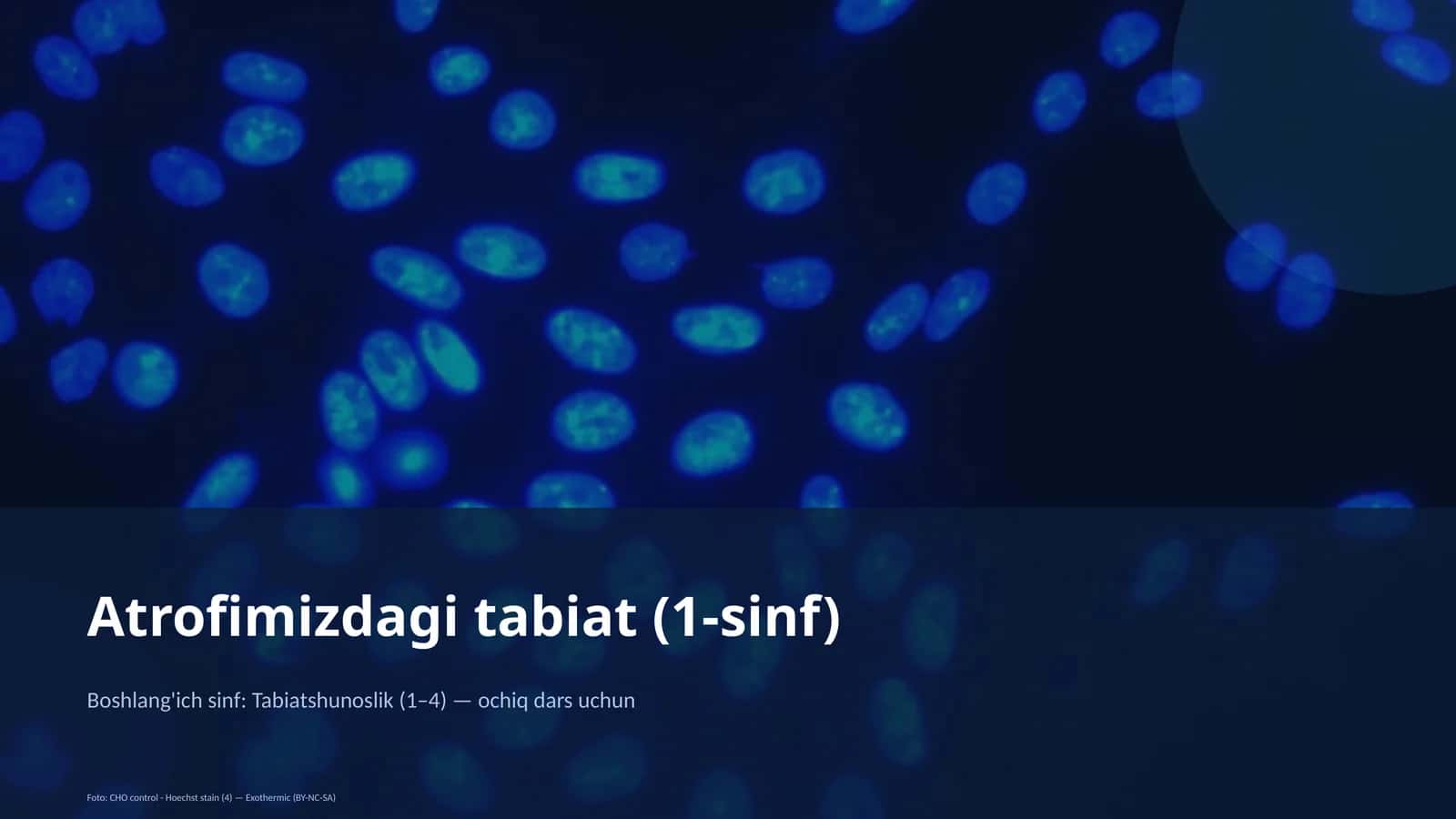 Atrofimizdagi tabiat (1-sinf) 1