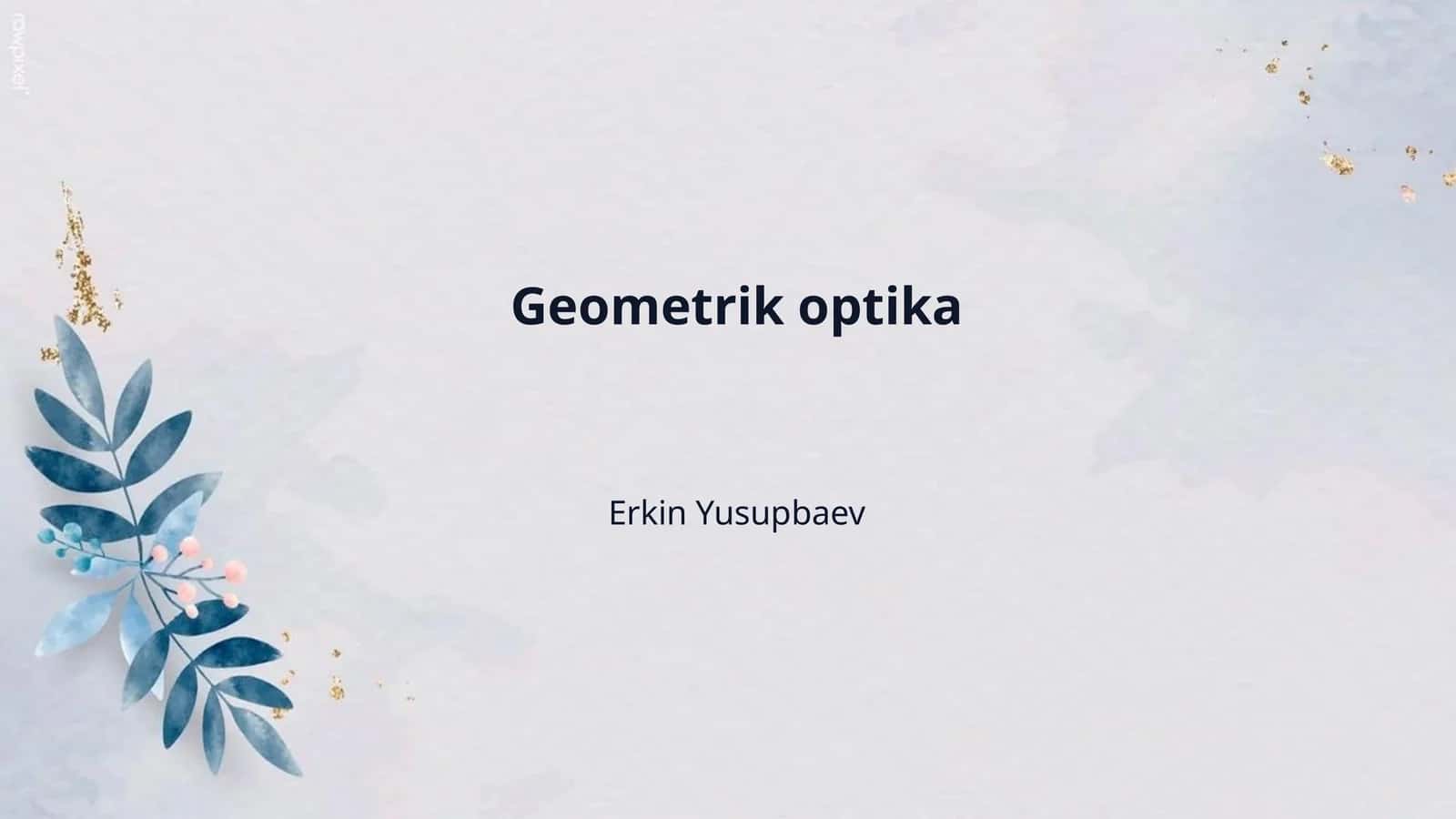 Geometrik optika 1