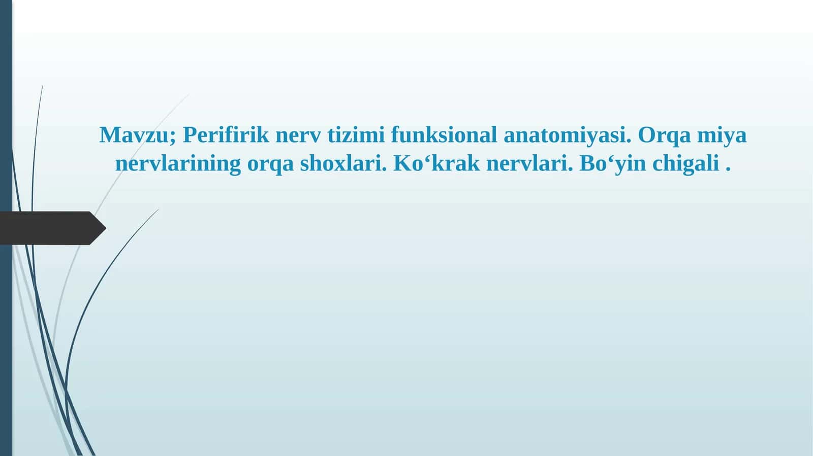 Perifirik nerv tizimi funksional anatomiyasi 1