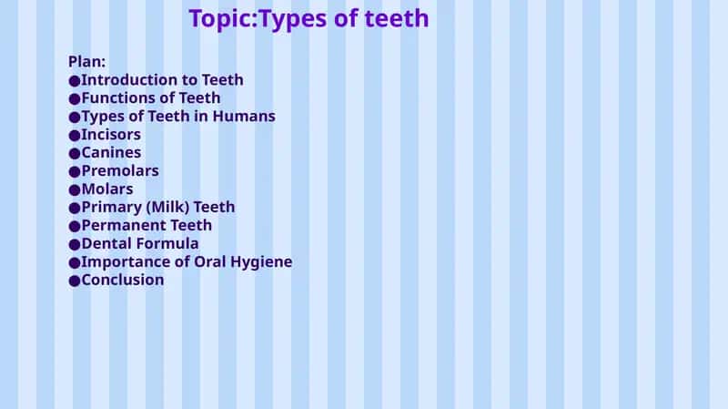 Types of Teeth 1