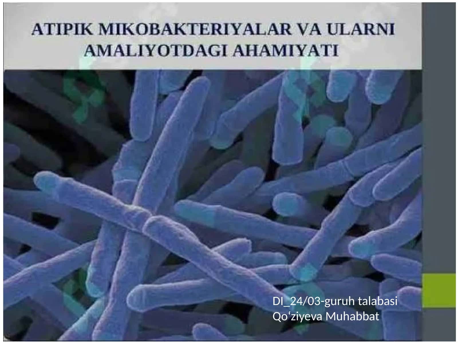 DI_24/03-guruhtalabasi 1