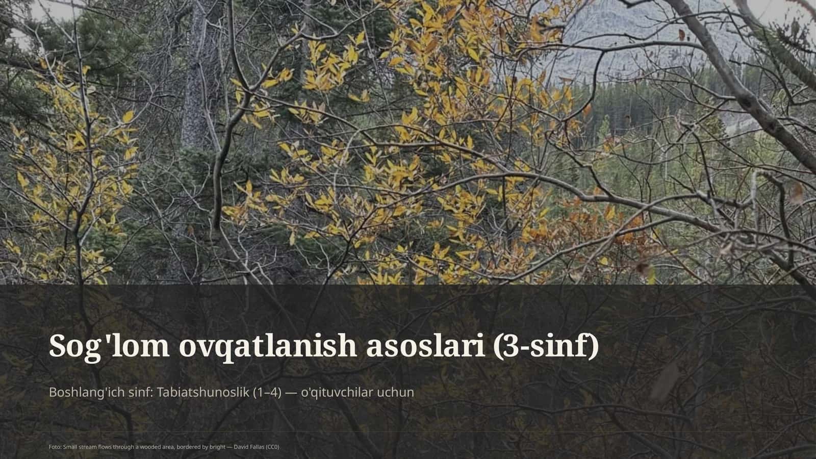 Sog'lom ovqatlanish asoslari (3-sinf) 1