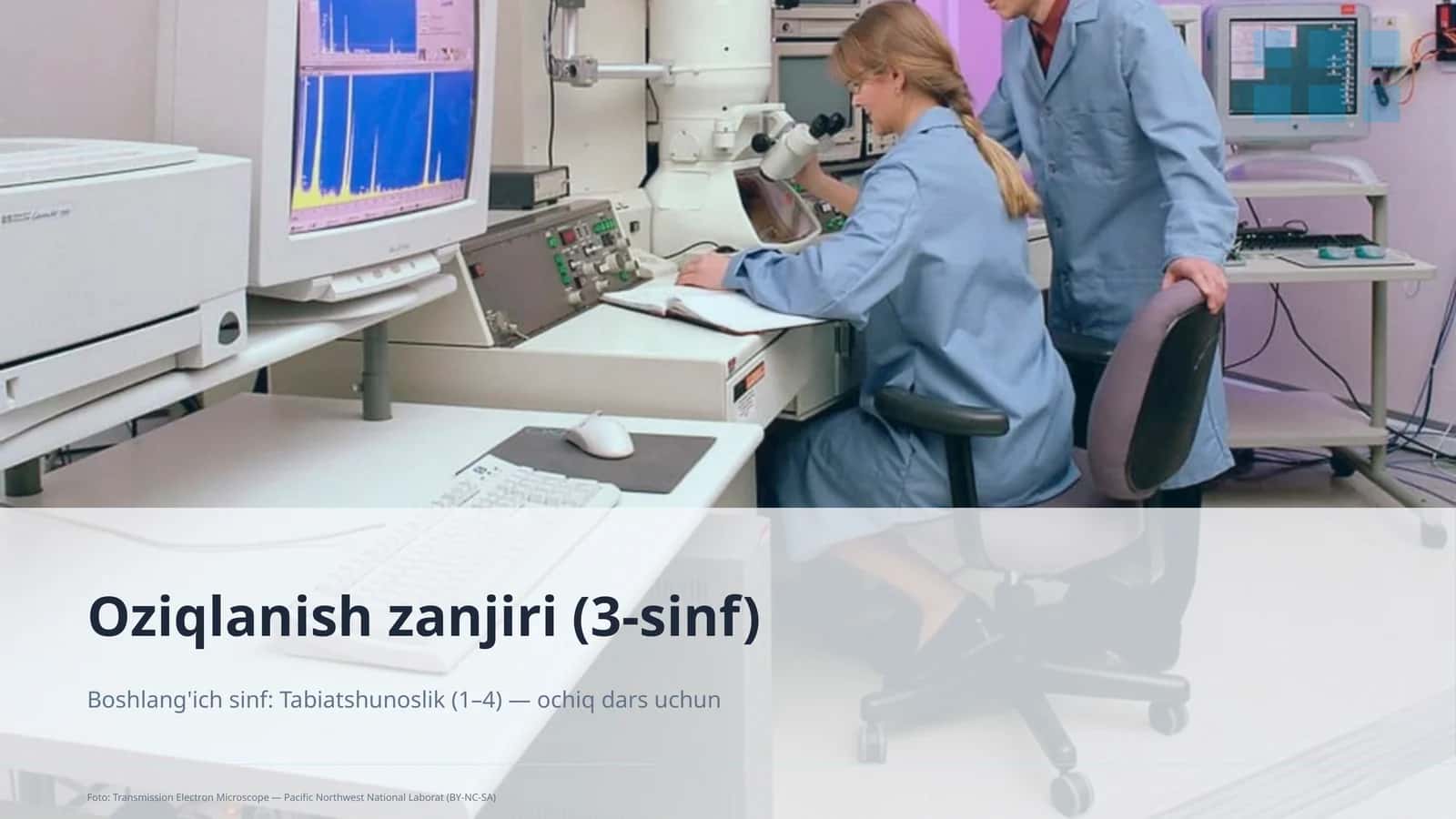 Oziqlanish zanjiri (3-sinf) 1