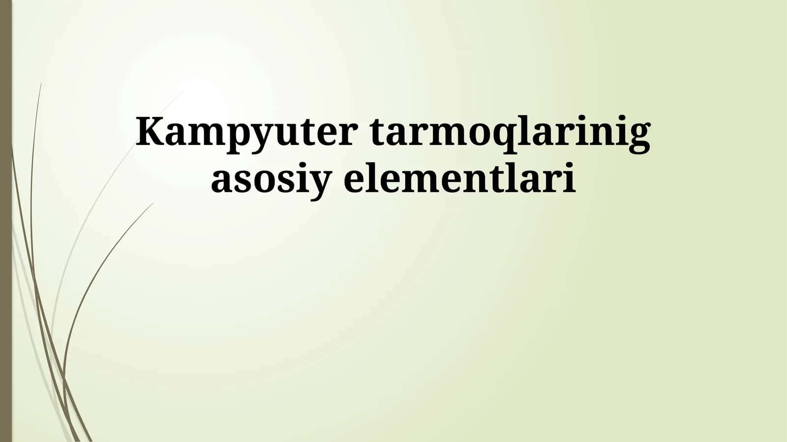 Kompyuter Tarmoqlarining Asosiy Elementlari 1