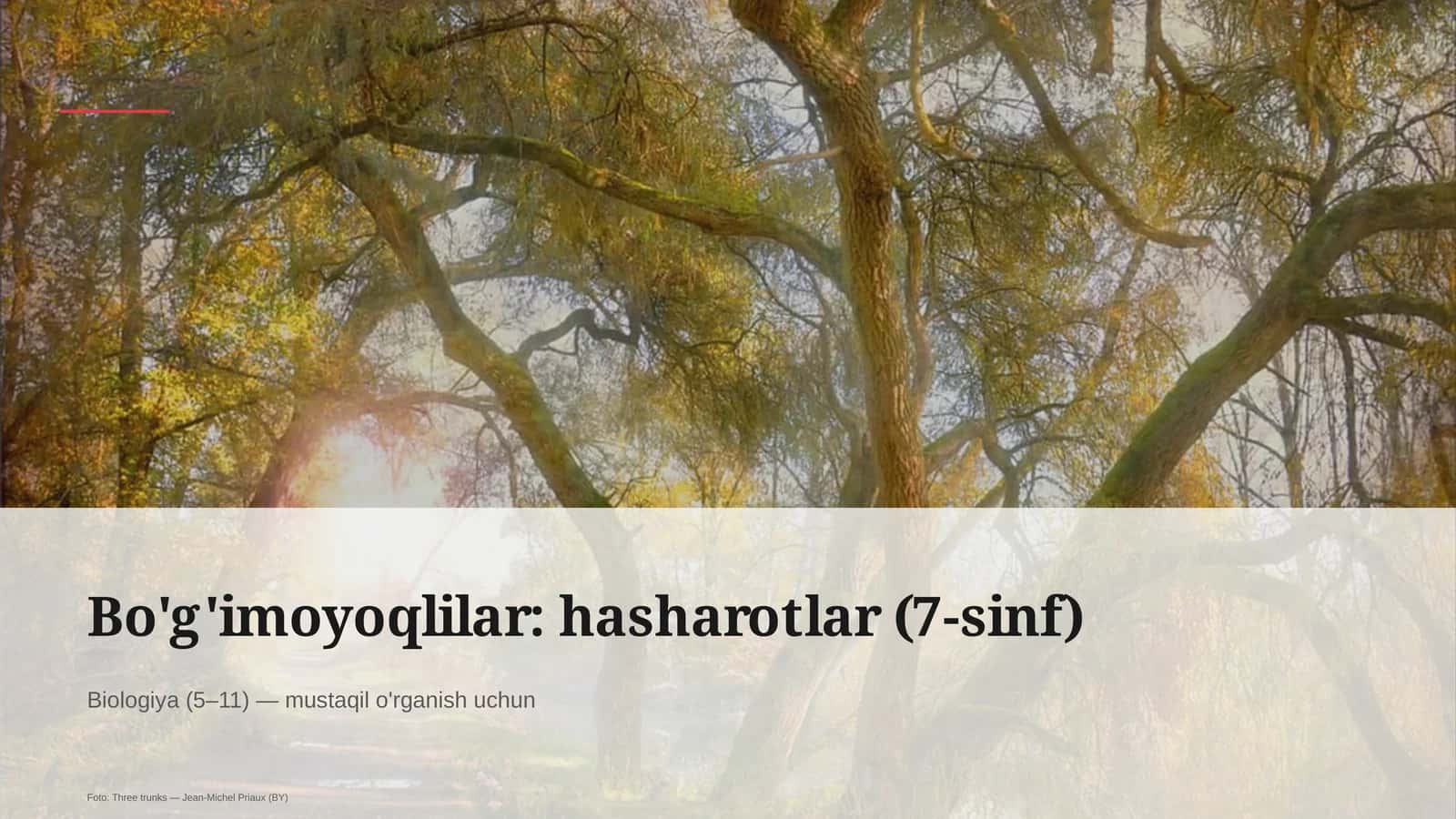 Bo'g'imoyoqlilar: hasharotlar (7-sinf) 1