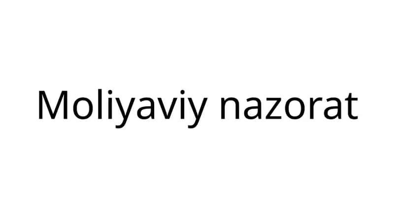 Moliyaviy nazorat 1