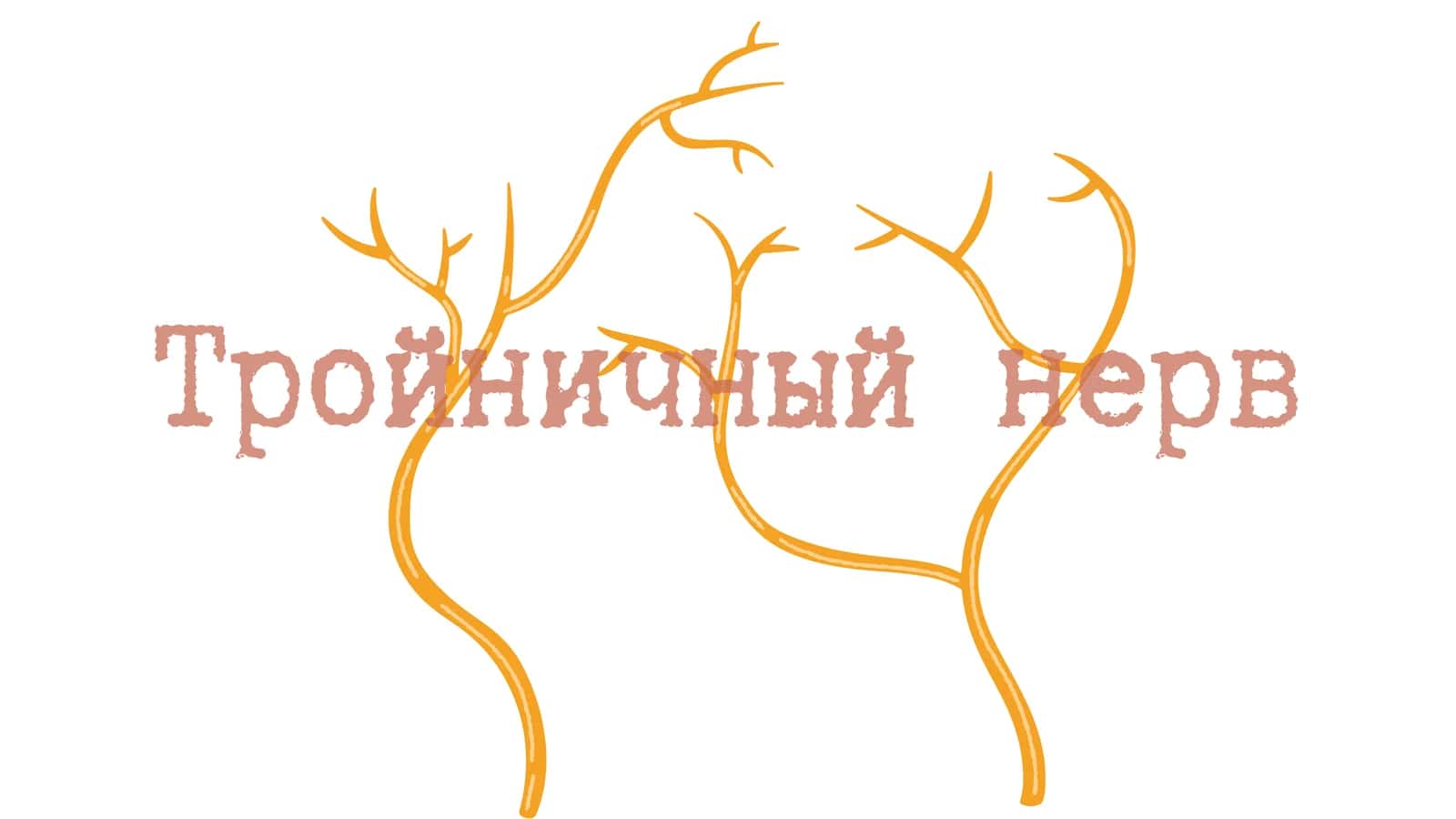 Тройничный нерв 1