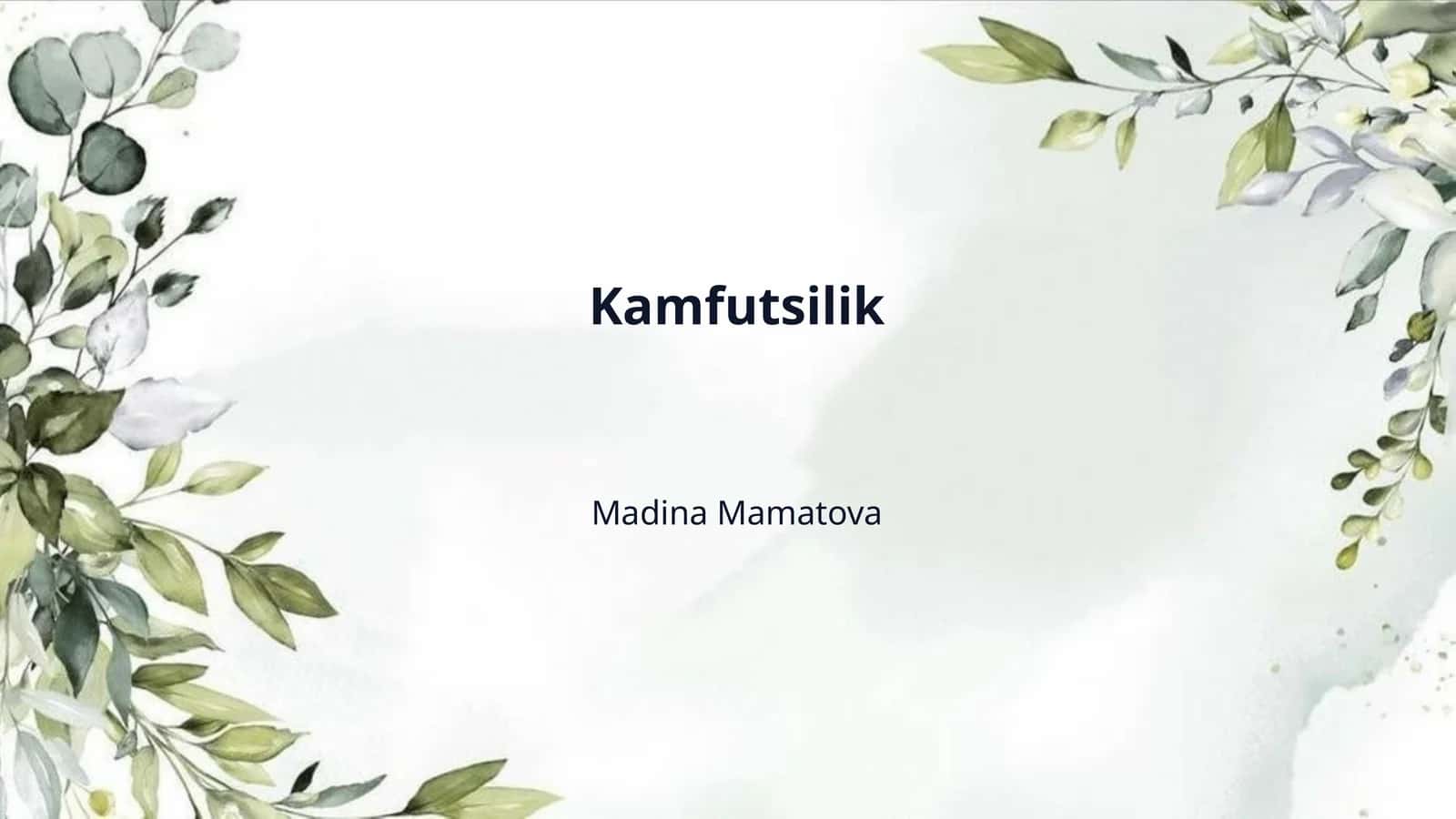 Kamfutsilik 1