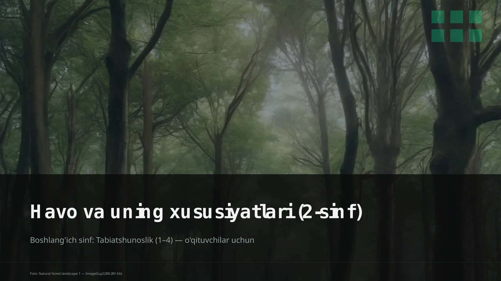Havo va uning xususiyatlari (2-sinf) 1