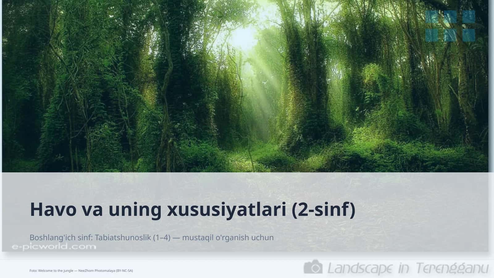 Havo va uning xususiyatlari (2-sinf) 1