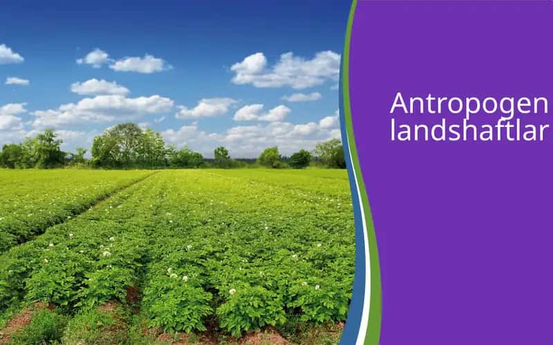 Antropogen landshaftlar 1