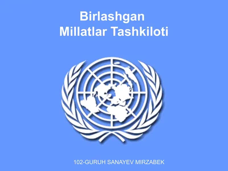 Birlashgan Millatlar Tashkiloti 1