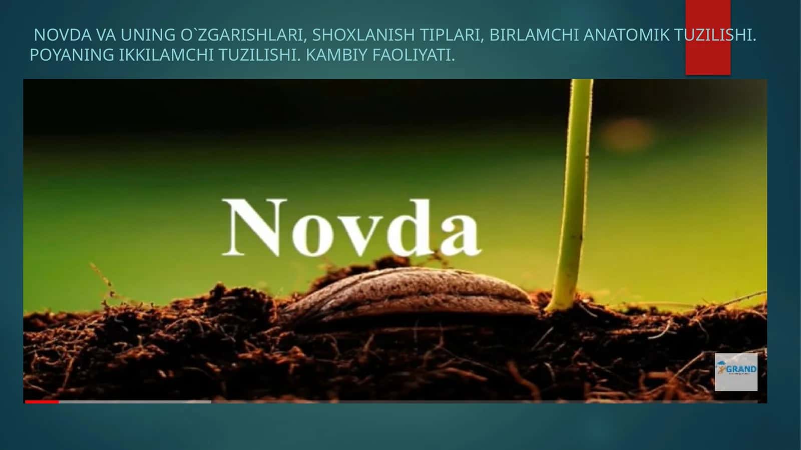 Novda va uning o`zgarishlari 1
