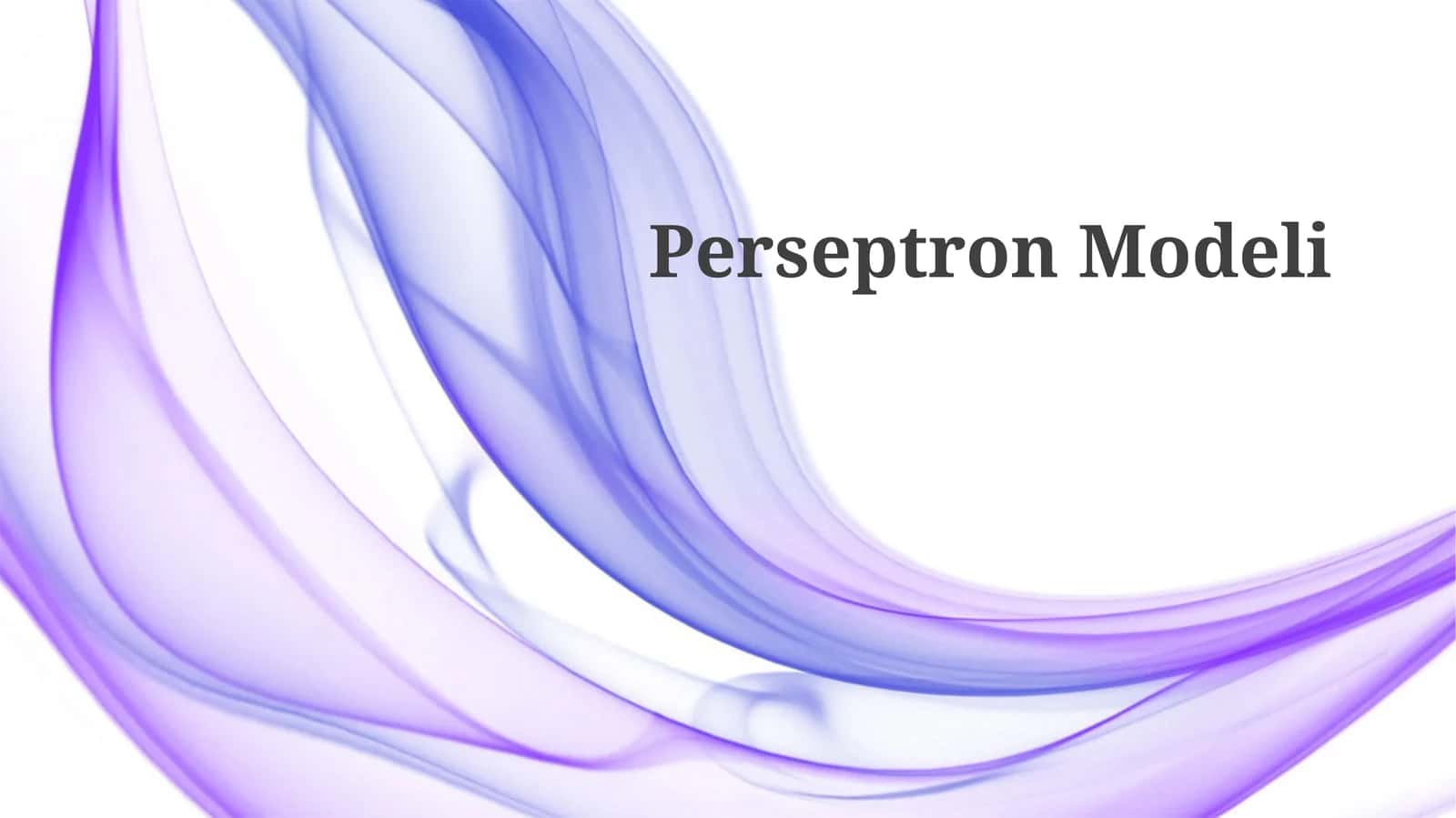 Perseptron Modeli 1