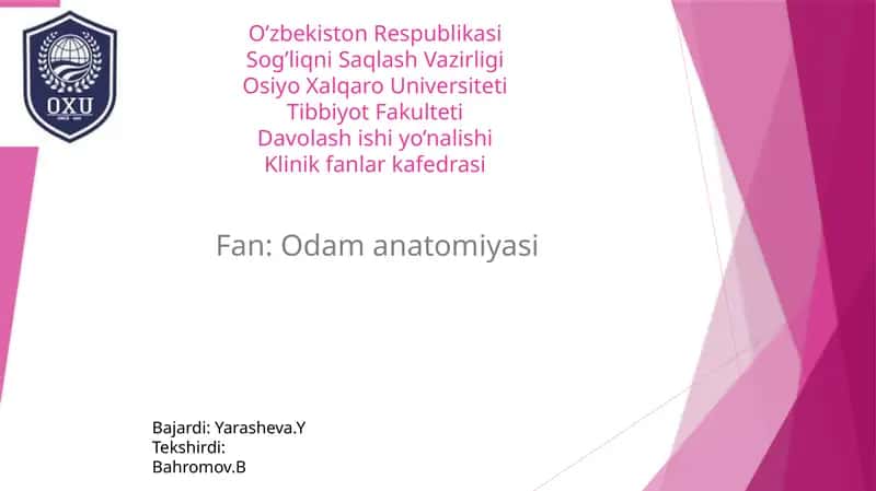 Odamanatomiyasi 1