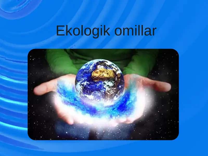 Ekologik omillar 1