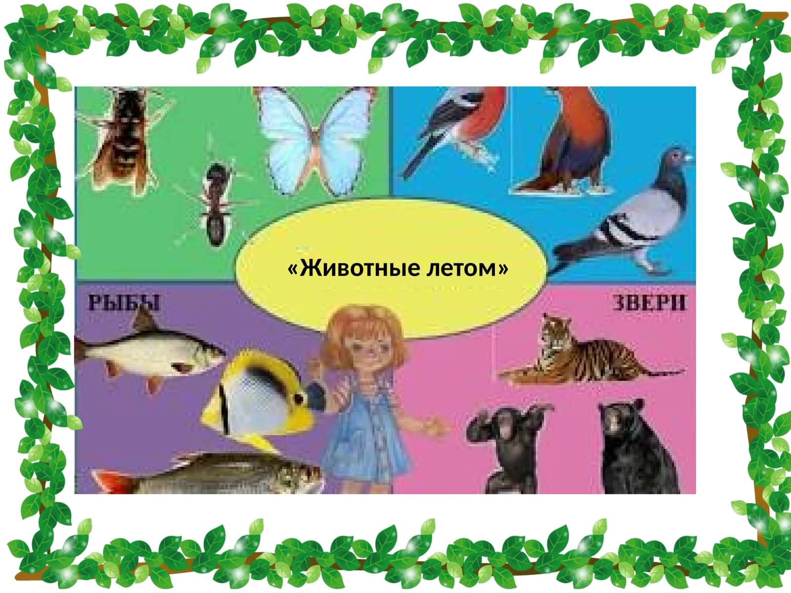 Животные летом 1