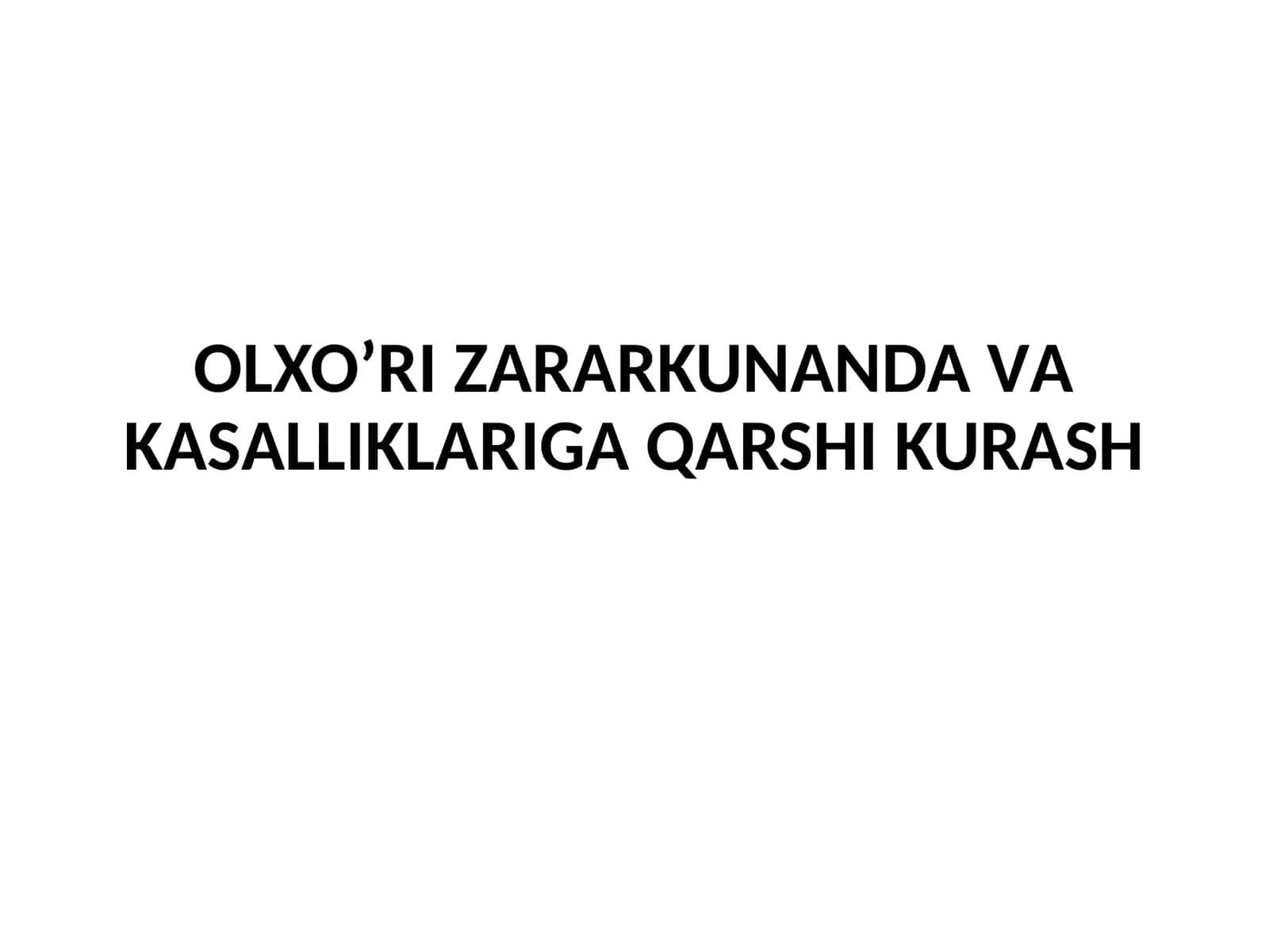 Barglarning shirabitlari 1