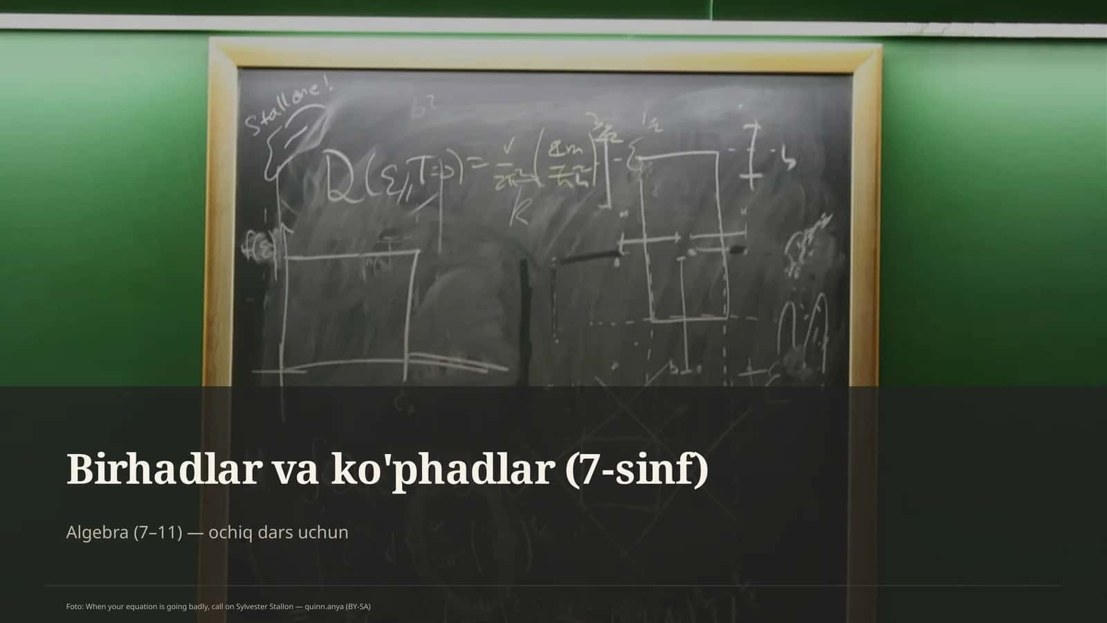 Birhadlar va ko'phadlar (7-sinf) 1